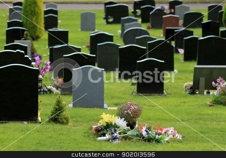 Flowers in cemetery Flowers in cemetery stock photo, Flowers on new grave in cemetery with headstones in background. Focus on foreground. by Martin Crowdy