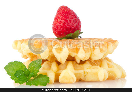 To use this stock image in your creative project, please select the size you need over to the right and click the "Add to Cart" button.
Your downloaded image will come with the Cutcaster watermark removed so don’t worry about the watermark you see on this page. Waffles and strawberry stock photo, Waffles and strawberry isolated on white background. by Homydesign