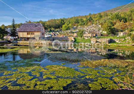 To use this stock image in your creative project, please select the size you need over to the right and click the "Add to Cart" button.
Your downloaded image will come with the Cutcaster watermark removed so don’t worry about the watermark you see on this page. Gacka river spring, colorful nature stock photo, Gacka river spring, colorful nature at the source in Lika region, croatia by xbrchx