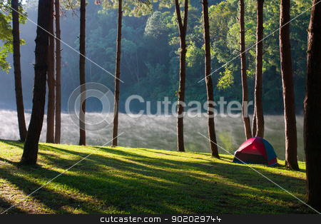 To use this stock image in your creative project, please select the size you need over to the right and click the "Add to Cart" button.
Your downloaded image will come with the Cutcaster watermark removed so don’t worry about the watermark you see on this page. Landscape stock photo, bird eye view with Landscape concept by iroomm