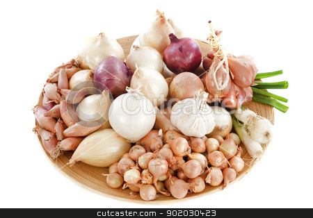Varieties of onions varieties of onions stock photo, group of varieties onions in a wood dish by Bonzami Emmanuelle