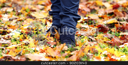To use this stock image in your creative project, please select the size you need over to the right and click the "Add to Cart" button.
Your downloaded image will come with the Cutcaster watermark removed so don’t worry about the watermark you see on this page. Walking through the autumn leaves stock photo, Walking through the autumn leaves, closeup by yekostock