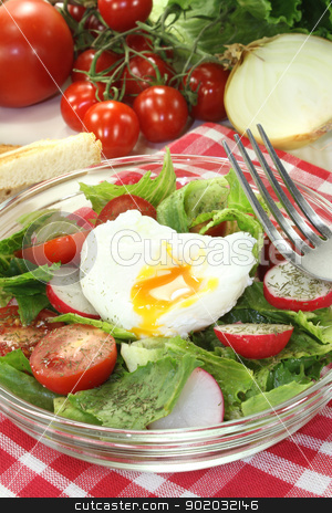 Salad with poached egg and onions Salad with poached egg and onions stock photo, Salad with poached egg, tomatoes, radishes, lettuce and dill by Marén Wischnewski