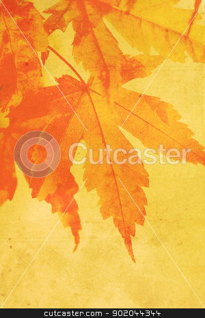 Old, stained, dreamy, autumnal background Old, stained, dreamy, autumnal background stock photo, Old, stained, dreamy, autumnal background by Juliet Photography