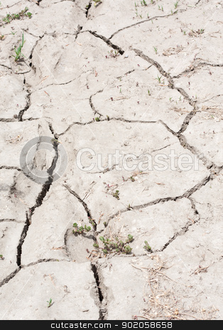 Parched and Cracked Dry Land in Drought Parched and Cracked Dry Land in Drought stock photo, A stretch of cracked, parched, dry land filling the frame. by Brigida Soriano
