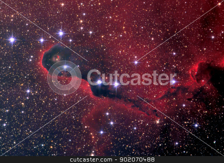 Vdb142 Elephants Trunk nebula vdb142 Elephants Trunk nebula stock photo, vdb142 Elephants Trunk nebula by Reinhold Wittich
