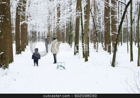To use this stock image in your creative project, please select the size you need over to the right and click the "Add to Cart" button.
Your downloaded image will come with the Cutcaster watermark removed so don’t worry about the watermark you see on this page. winter forest stock photo, beautiful winter forest and the road by Vitaliy Pakhnyushchyy