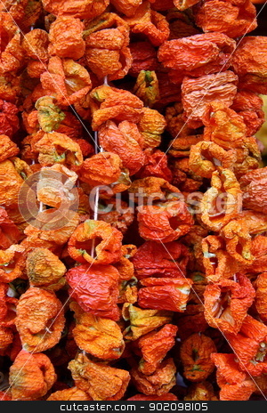 To use this stock image in your creative project, please select the size you need over to the right and click the "Add to Cart" button.
Your downloaded image will come with the Cutcaster watermark removed so don’t worry about the watermark you see on this page. red dry peppers on rope stock photo, red dry peppers on rope for cooking, its made in Turkey and shops sell these in bazaars by melih turhanlar