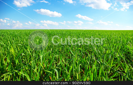 Green field green field stock photo, field on a background of the blue sky by Vitaliy Pakhnyushchyy