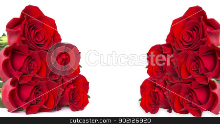 red roses red roses stock photo, Close-up shot of a red roses by Vitaliy Pakhnyushchyy