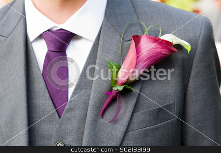 To use this stock image in your creative project, please select the size you need over to the right and click the "Add to Cart" button.
Your downloaded image will come with the Cutcaster watermark removed so don’t worry about the watermark you see on this page. groom wearing a lily buttonhole stock photo, groom wearing a purple lily buttonhole by Lee Avison