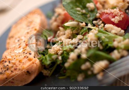 To use this stock image in your creative project, please select the size you need over to the right and click the "Add to Cart" button.
Your downloaded image will come with the Cutcaster watermark removed so don’t worry about the watermark you see on this page. salmon stock photo, roasted salmon fillet with fresh green leaves salad and quinoa by Desislava Dimitrova