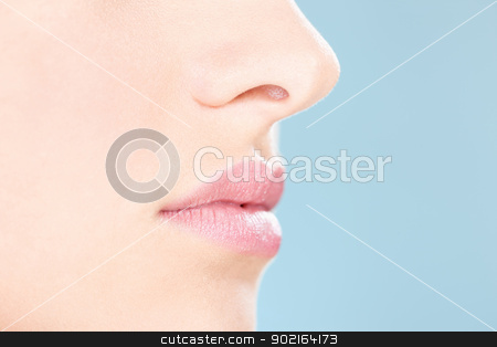 To use this stock image in your creative project, please select the size you need over to the right and click the "Add to Cart" button.
Your downloaded image will come with the Cutcaster watermark removed so don’t worry about the watermark you see on this page. Part of a woman's face stock photo, Part of a woman's face; Clean skin concept by iMarin
