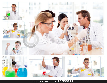 Collage of several scientists doing experiments Collage of several scientists doing experiments stock photo, Collage of several scientists doing experiments in a lab by Wavebreak Media