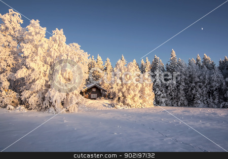 To use this stock image in your creative project, please select the size you need over to the right and click the "Add to Cart" button.
Your downloaded image will come with the Cutcaster watermark removed so don’t worry about the watermark you see on this page. Winter Landscape stock photo, Beautiful winter landscape in Sweden by Ingvar Bjork
