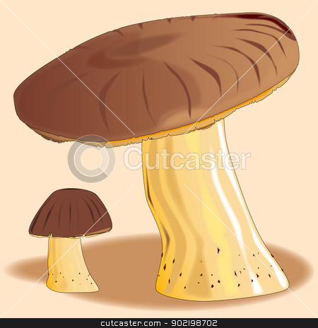 To use this stock image in your creative project, please select the size you need over to the right and click the "Add to Cart" button.
Your downloaded image will come with the Cutcaster watermark removed so don’t worry about the watermark you see on this page. Mushrooms stock vector clipart, Two mushrooms isolated, one large and one small. by Kotto
