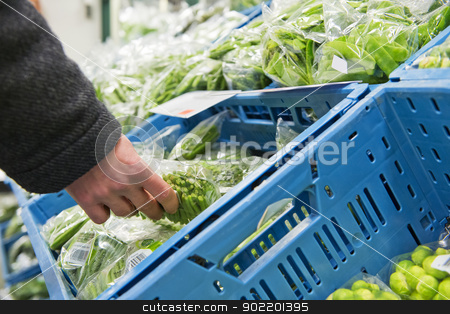 Fresh Vegetables Fresh Vegetables stock photo, Hand, picking a cellophane packaging with fresh haricots verts from a blue crate inside the cooling of a large wholesale supermarket by Corepics VOF