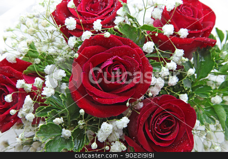 To use this stock image in your creative project, please select the size you need over to the right and click the "Add to Cart" button.
Your downloaded image will come with the Cutcaster watermark removed so don’t worry about the watermark you see on this page. rose bouquet stock photo, closeup of rose bouquet isolated on white using in wedding or any greeting ceremony by Vichaya Kiatying-Angsulee