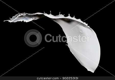 Milk splash milk splash stock photo, White milk splash isolated on black background by Sergey Nivens