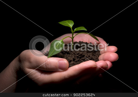 New life new life stock photo, Hands holdings a little green plant on a black background by Vitaliy Pakhnyushchyy