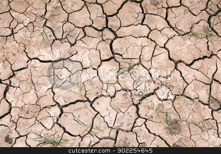Dry cracked ground filling the frame as background Dry cracked ground filling the frame as background stock photo, Dry cracked ground filling the frame as background by Vichaya Kiatying-Angsulee