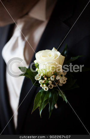 Rose on jacket rose on jacket stock photo, white rose on jacket by Axel Lauer