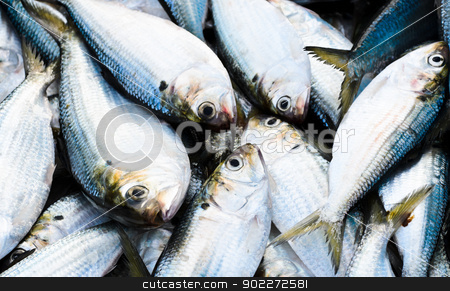 Fresh fish Fresh fish stock photo, Fresh fish at the seafood market by boonsom