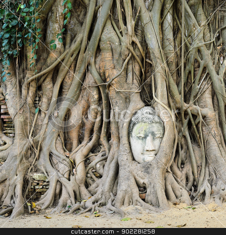 To use this stock image in your creative project, please select the size you need over to the right and click the "Add to Cart" button.
Your downloaded image will come with the Cutcaster watermark removed so don’t worry about the watermark you see on this page. Head of Buddha in a tree trunk stock photo, Head of Buddha in a tree trunk in Wat Mahathat, Ayutthaya,Thailand by boonsom