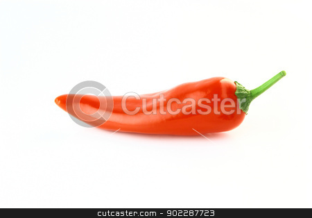 To use this stock image in your creative project, please select the size you need over to the right and click the "Add to Cart" button.
Your downloaded image will come with the Cutcaster watermark removed so don’t worry about the watermark you see on this page. red hot chili stock photo, red hot chili pepper on a white background by Designsstock