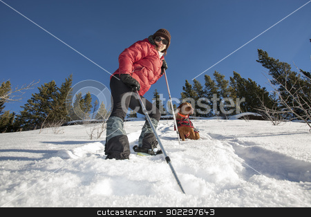 To use this stock image in your creative project, please select the size you need over to the right and click the "Add to Cart" button.
Your downloaded image will come with the Cutcaster watermark removed so don’t worry about the watermark you see on this page. winter hiker and her dog stock photo, woman hiking in the winter with her dog by Barna Tanko