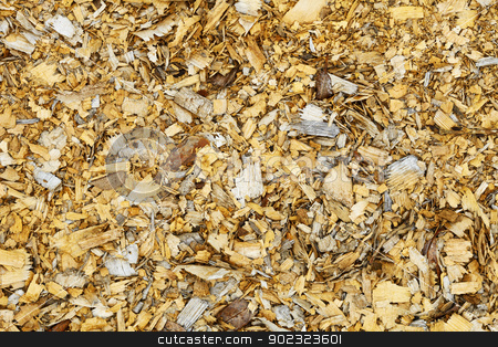 To use this stock image in your creative project, please select the size you need over to the right and click the "Add to Cart" button.
Your downloaded image will come with the Cutcaster watermark removed so don’t worry about the watermark you see on this page. Natural background - old wood shavings stock photo, Natural background - an old wood brown shavings by Alexey Romanov