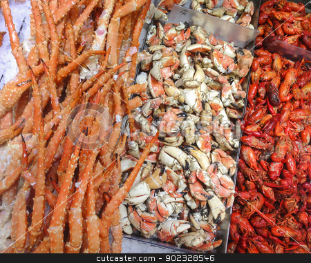 Shell Fish Market Variety on Ice Shell Fish Market Variety on Ice stock photo, Appetizing Shell Fish Market Variety on Ice. by Andy Dean
