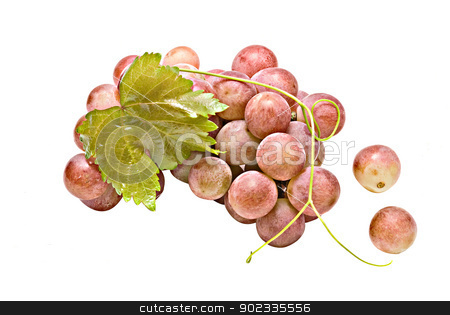 Grapevine isolated on white background Grapevine isolated on white background stock photo, Grapevine isolated on white background by vaeenma