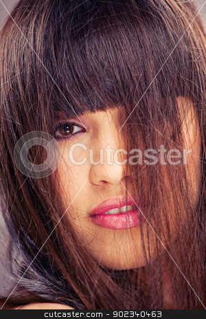 To use this stock image in your creative project, please select the size you need over to the right and click the "Add to Cart" button.
Your downloaded image will come with the Cutcaster watermark removed so don’t worry about the watermark you see on this page. woman with long hair stock photo, Pretty brunette woman with long hair by iMarin