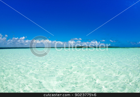 To use this stock image in your creative project, please select the size you need over to the right and click the "Add to Cart" button.
Your downloaded image will come with the Cutcaster watermark removed so don’t worry about the watermark you see on this page. sea stock photo, beautiful blue caribbean sea water by Vitaliy Pakhnyushchyy