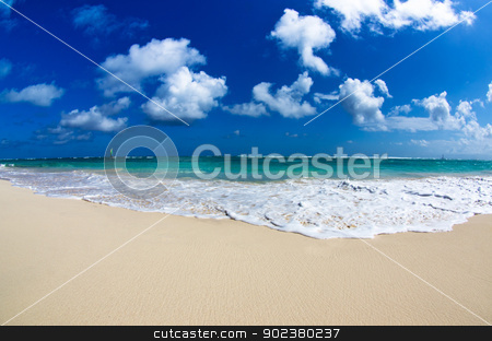 To use this stock image in your creative project, please select the size you need over to the right and click the "Add to Cart" button.
Your downloaded image will come with the Cutcaster watermark removed so don’t worry about the watermark you see on this page. sea beach stock photo, beautiful blue caribbean sea beach by Vitaliy Pakhnyushchyy