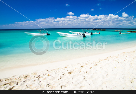 To use this stock image in your creative project, please select the size you need over to the right and click the "Add to Cart" button.
Your downloaded image will come with the Cutcaster watermark removed so don’t worry about the watermark you see on this page. beach stock photo, beautiful blue caribbean sea beach by Vitaliy Pakhnyushchyy