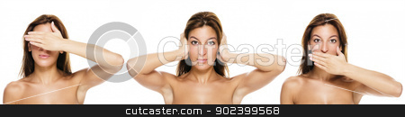 To use this stock image in your creative project, please select the size you need over to the right and click the "Add to Cart" button.
Your downloaded image will come with the Cutcaster watermark removed so don’t worry about the watermark you see on this page. beautiful brunette woman making no see, no hear, no say - evil gestures on white background stock photo, beautiful brunette woman making no see, no hear, no say - evil gestures on white background by Rob Stark