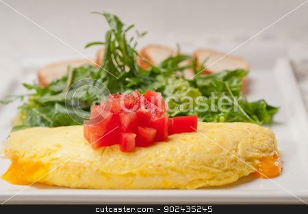 To use this stock image in your creative project, please select the size you need over to the right and click the "Add to Cart" button.
Your downloaded image will come with the Cutcaster watermark removed so don’t worry about the watermark you see on this page. cheese ometette with tomato and salad stock photo, home made omelette with cheese tomato and rucola rocket salad arugola by Francesco Perre