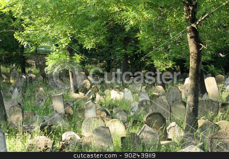 To use this stock image in your creative project, please select the size you need over to the right and click the "Add to Cart" button.
Your downloaded image will come with the Cutcaster watermark removed so don’t worry about the watermark you see on this page. old jewish burial place stock photo, old jewish burial place in the czech repulic by Jiri Vaclavek