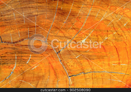 To use this stock image in your creative project, please select the size you need over to the right and click the "Add to Cart" button.
Your downloaded image will come with the Cutcaster watermark removed so don’t worry about the watermark you see on this page. wood texture stock photo, by Bunwit