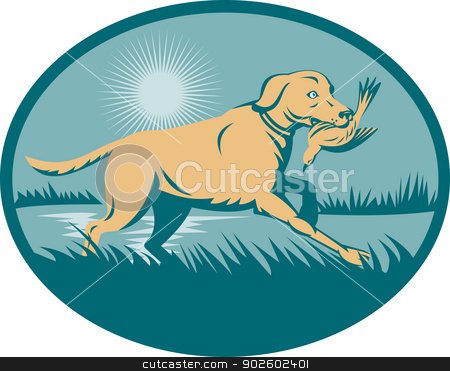 To use this stock image in your creative project, please select the size you need over to the right and click the "Add to Cart" button.
Your downloaded image will come with the Cutcaster watermark removed so don’t worry about the watermark you see on this page. trained Retriever dog with bird stock photo, illustration of a trained Retriever dog with bird on wetland set inside an ellipse. by patrimonio