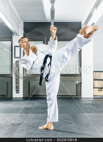 To use this stock image in your creative project, please select the size you need over to the right and click the "Add to Cart" button.
Your downloaded image will come with the Cutcaster watermark removed so don’t worry about the watermark you see on this page. taekwondo stock photo, An image of a taekwondo martial arts master by Markus Gann