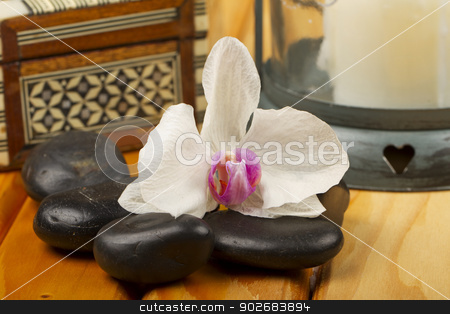 To use this stock image in your creative project, please select the size you need over to the right and click the "Add to Cart" button.
Your downloaded image will come with the Cutcaster watermark removed so don’t worry about the watermark you see on this page. Orchid stock photo, An orchid over stones, with oriental objects around by Fabio Alcini