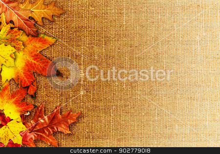To use this stock image in your creative project, please select the size you need over to the right and click the "Add to Cart" button.
Your downloaded image will come with the Cutcaster watermark removed so don’t worry about the watermark you see on this page. Fallen foliage over old hessian fabric, abstract autumn backgrou stock photo, Fallen foliage over old hessian fabric, abstract autumn backgrounds by tolokonov
