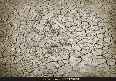 To use this stock image in your creative project, please select the size you need over to the right and click the "Add to Cart" button.
Your downloaded image will come with the Cutcaster watermark removed so don’t worry about the watermark you see on this page. Cracked earth in dry season stock photo, Cracked earth in dry season close up by Alexey Romanov