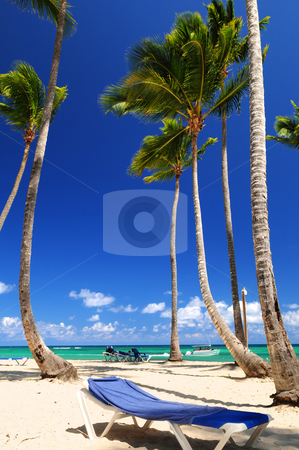 To use this stock image in your creative project, please select the size you need over to the right and click the "Add to Cart" button.
Your downloaded image will come with the Cutcaster watermark removed so don’t worry about the watermark you see on this page. Sandy beach on Caribbean resort stock photo, Sandy beach on Caribbean resort with tall palm trees by Elena Elisseeva