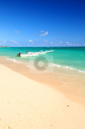 To use this stock image in your creative project, please select the size you need over to the right and click the "Add to Cart" button.
Your downloaded image will come with the Cutcaster watermark removed so don’t worry about the watermark you see on this page. Fishing boats in Caribbean sea stock photo, Fishing boats in Caribbean sea anchored near sandy beach by Elena Elisseeva