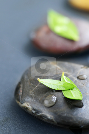 To use this stock image in your creative project, please select the size you need over to the right and click the "Add to Cart" button.
Your downloaded image will come with the Cutcaster watermark removed so don’t worry about the watermark you see on this page. Zen stones stock photo, Zen stones submerged in water with green leaves by Elena Elisseeva