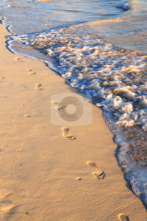 Footprints on sandy beach Footprints on sandy beach stock photo, Footprints on sandy tropical beach washed away by waves by Elena Elisseeva